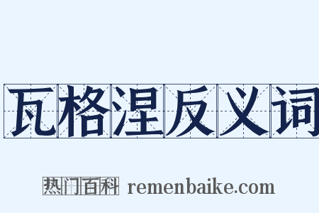 瓦格涅反义词是什么意思的图片